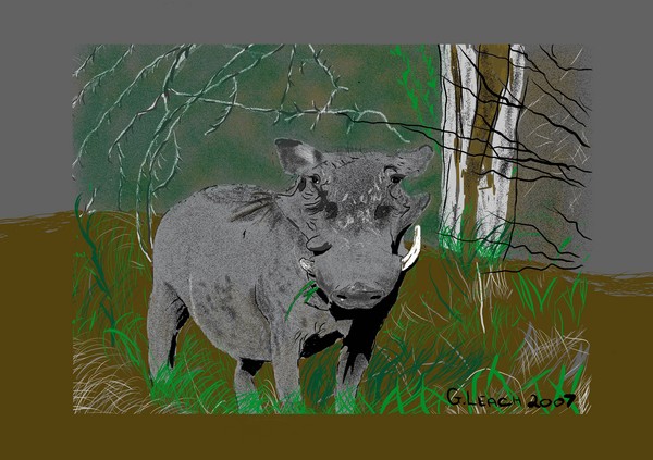 Bush Pig of Africa