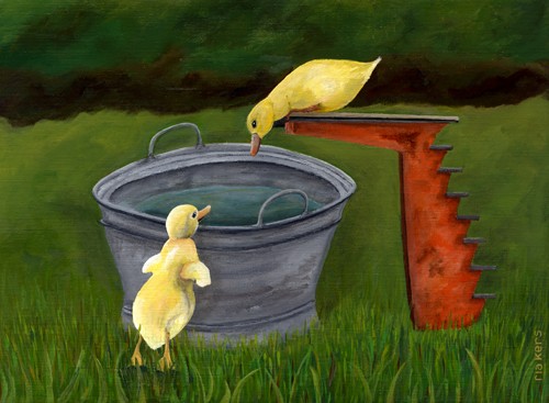 diving duck