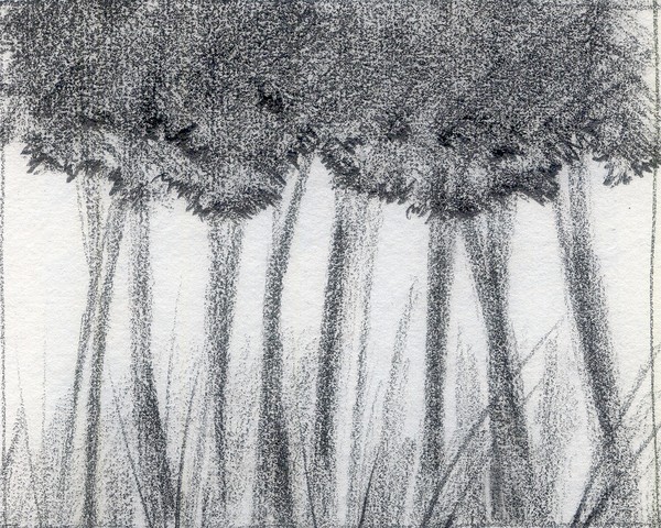 trees