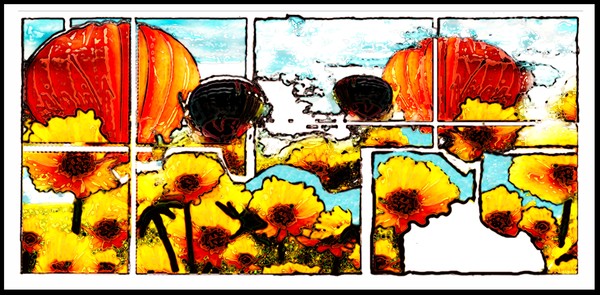 Balloons In A Field