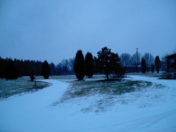 Morning Snow