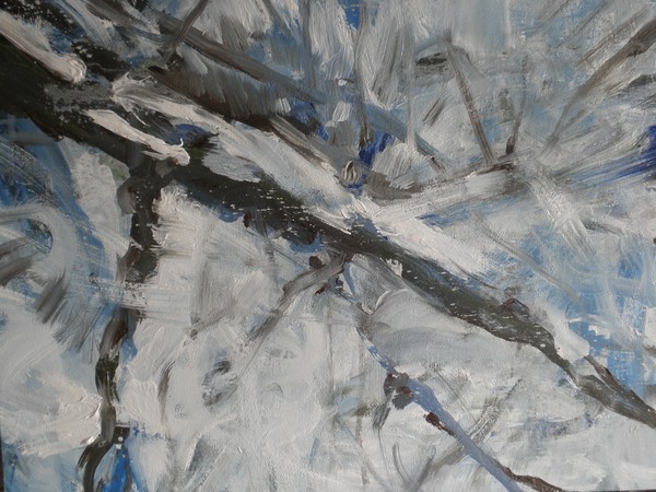 Icy River 1