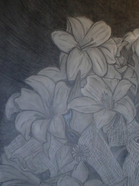 Still Life