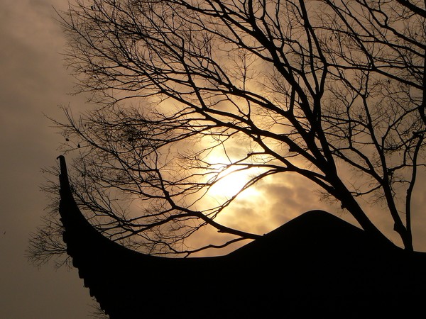 Silhouette