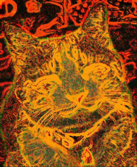 Hip Cat