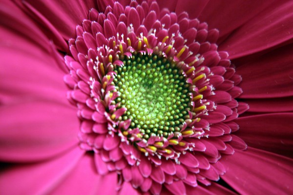 Natures Beauty 