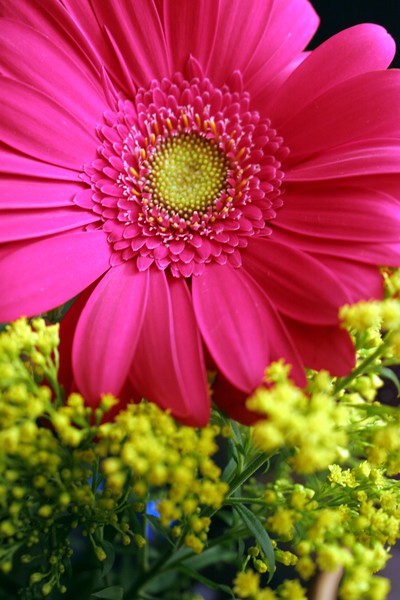FlowerStandingTall