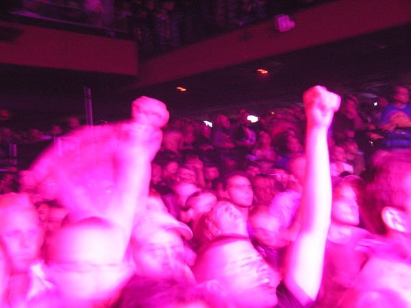 Rowdy Crowdy