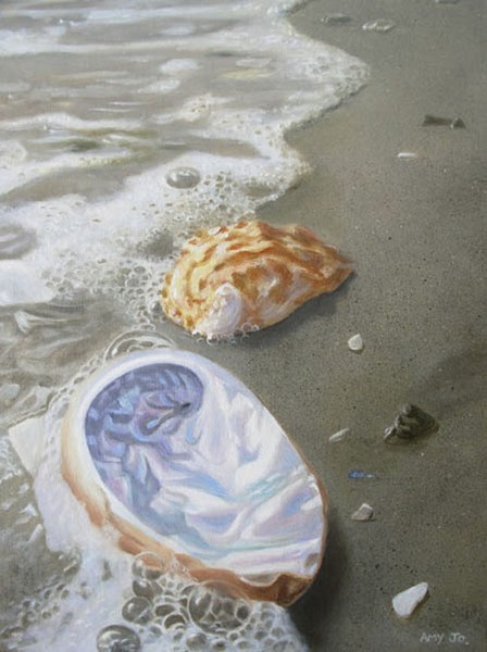 Abalone Shells