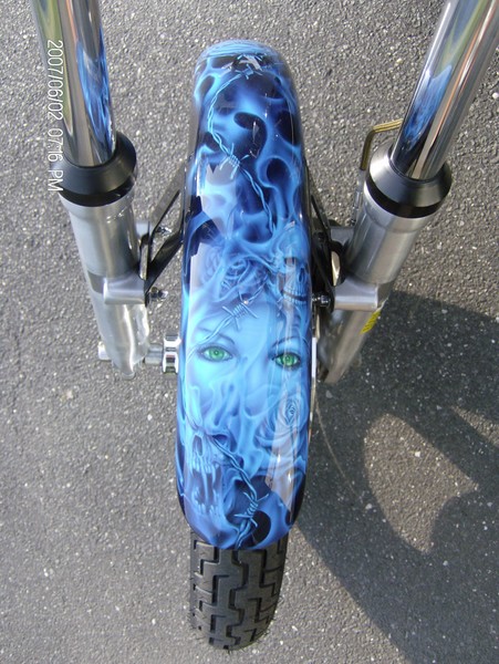 kandy Blue Skulls -front fender