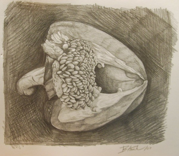 Green Pepper #1