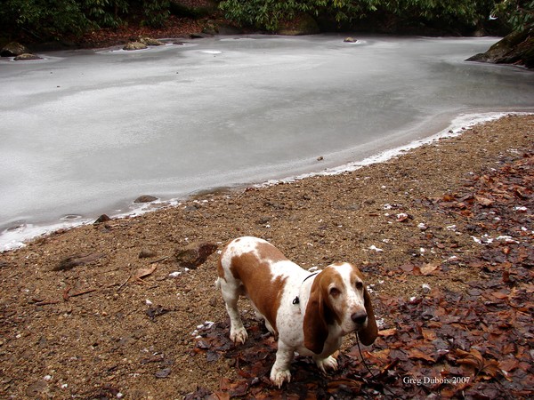 Frostie water trail 5