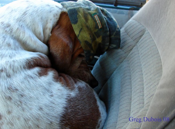 Dreaming of  Hiking