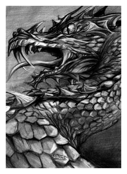the dragon