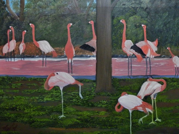 Flock of Flamingos
