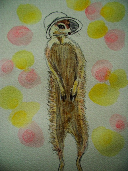 Moppy the Meerkat in a Floppy Hat
