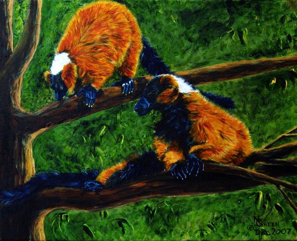 Out On A Limb