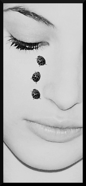 Ladybugs