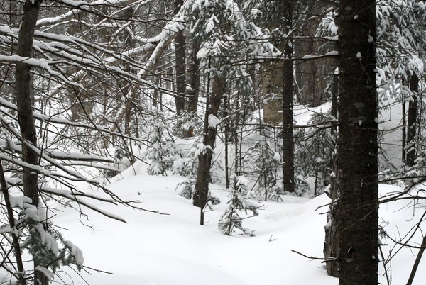 Still Winter :)