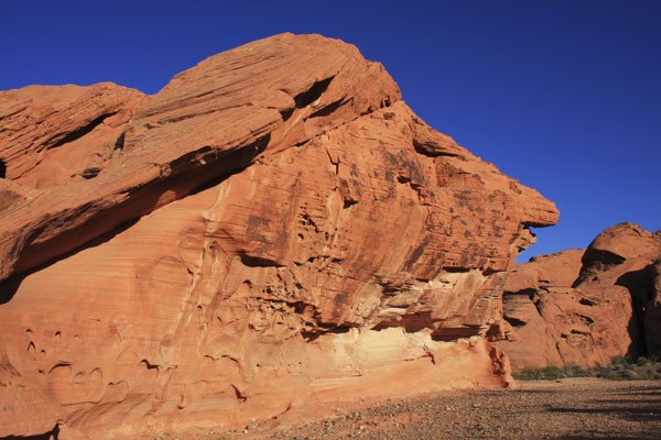Desert Landscape