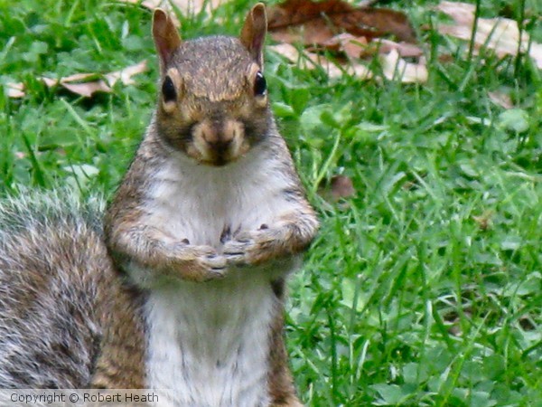 Who Me ?