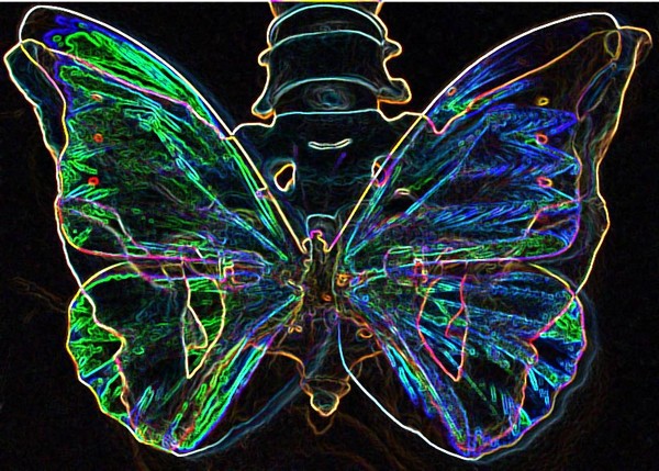 Pelvis Fly II
