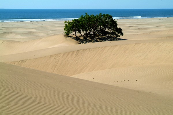 solitary existence