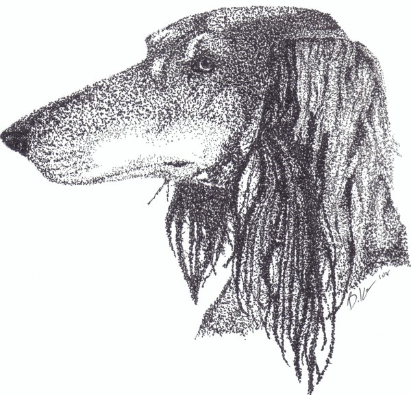 saluki pointillist
