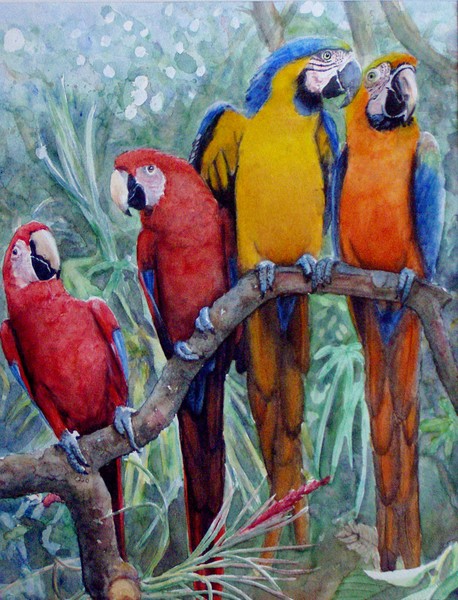 PARROTS