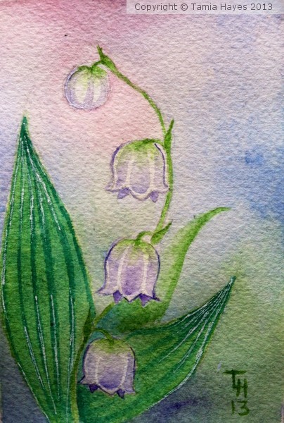 Lillies