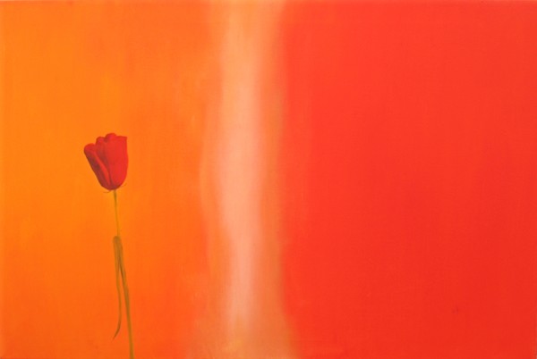 Tulip