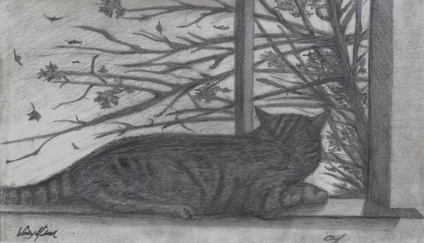 Window Cat