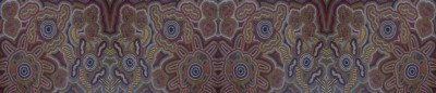 71 Goannas & Porcupines Long Silk Scarf