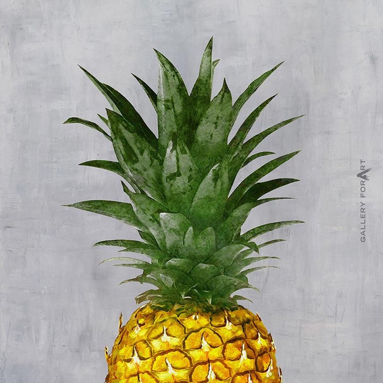 PINEAPPLE PLEIN GREY