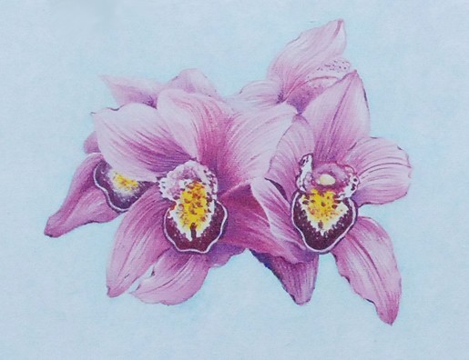 Pink Orchid - SOLD