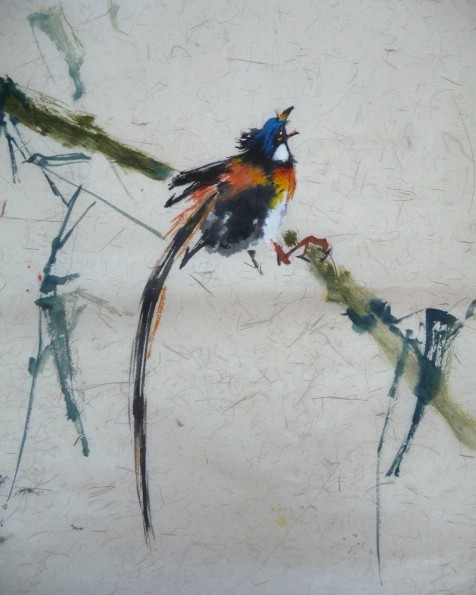 Paradise bird