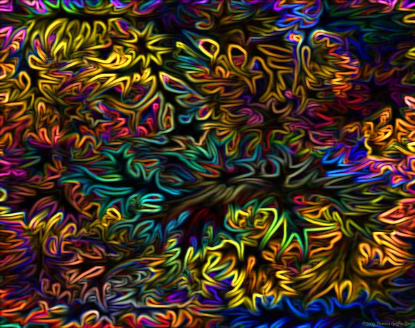 Rainbows in the Forest