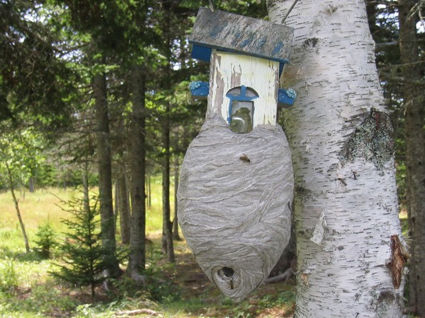 Knock Before Entering