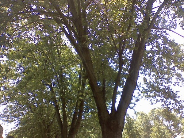 Up high