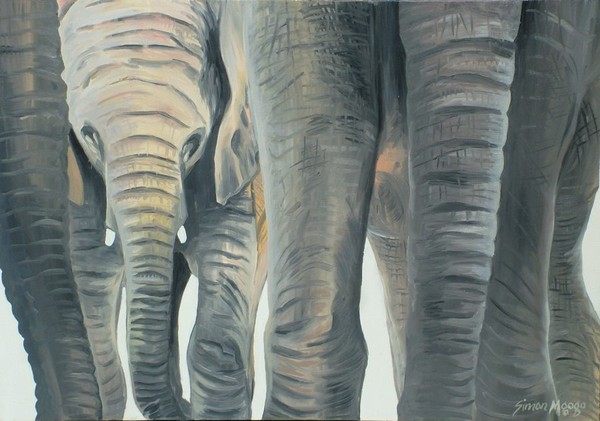 Elephants
