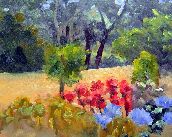 Agapantha and Cannas