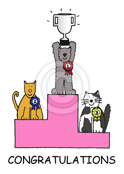 Cat show