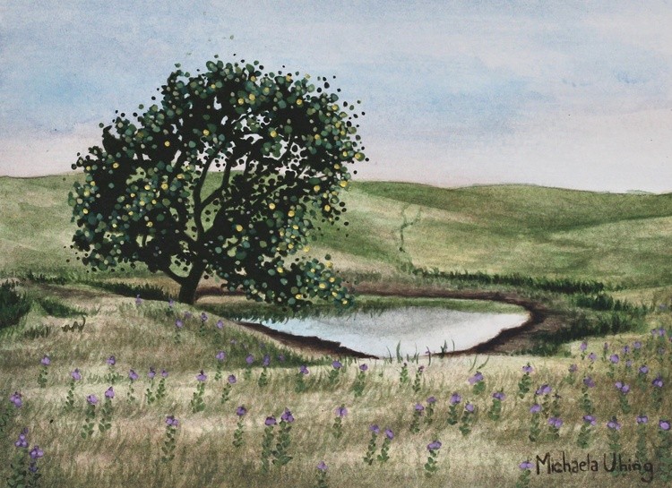 Still Waters