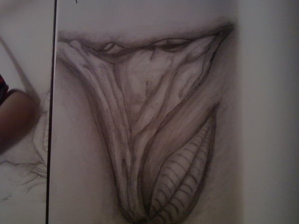 Flower 2