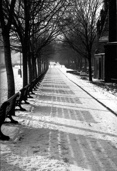 Berlin benches