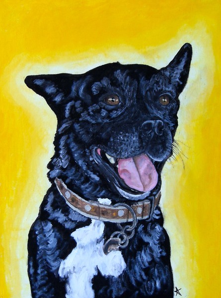 Pat's Dog