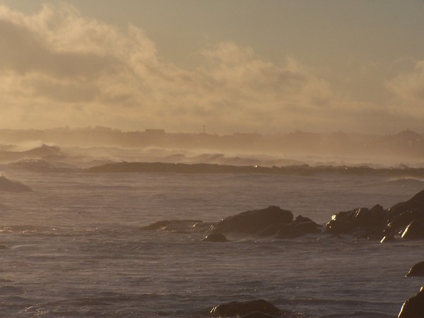 Misty Evening