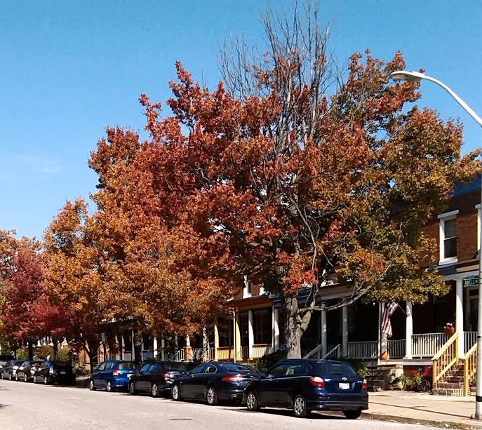 A Street In Autumn