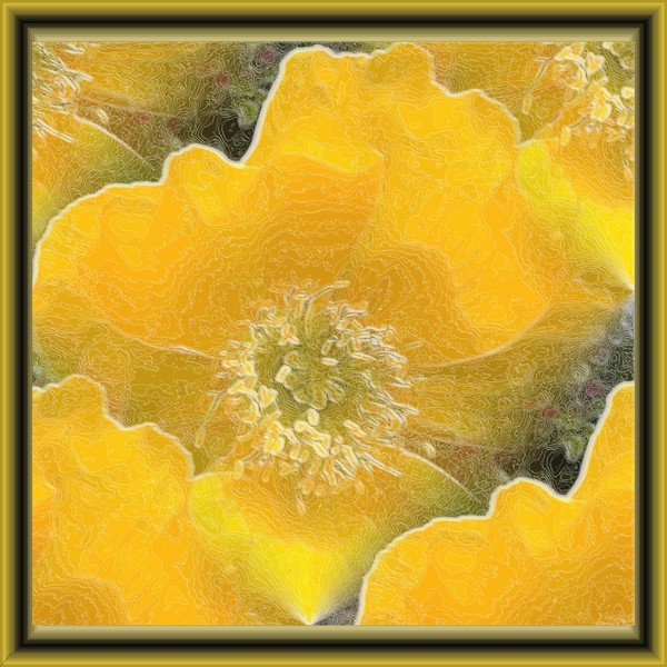 sooo yellow