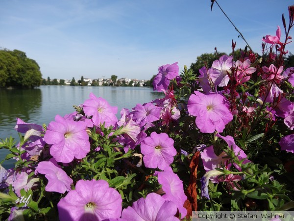 summerday